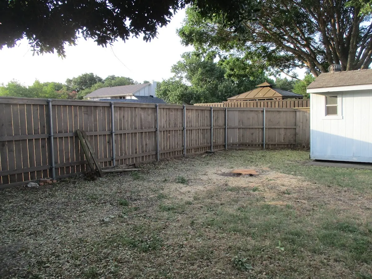 Cleared yard after professional tree removal in South Lake Tahoe